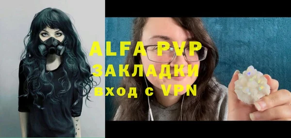 трава Осинники