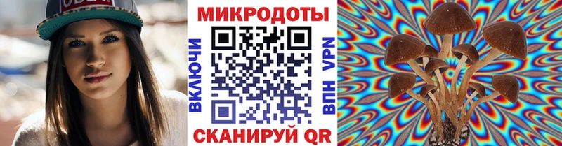 Псилоцибиновые грибы Psilocybe  ссылка на мегу маркетплейс  Кохма 