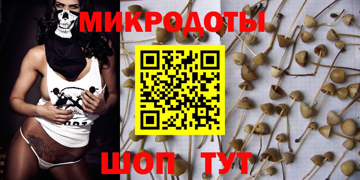 Кохма  Псилоцибиновые грибы Cubensis  Вход с VPN 