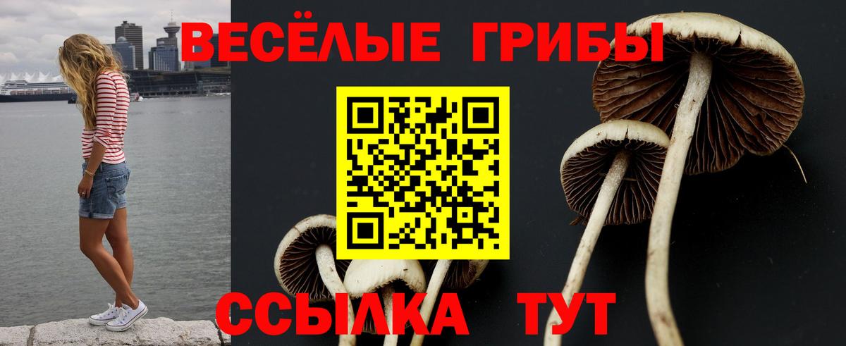 Галлюциногенные грибы мицелий Кохма